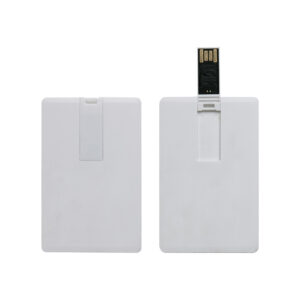 Pen drive Passepartout 4gb
